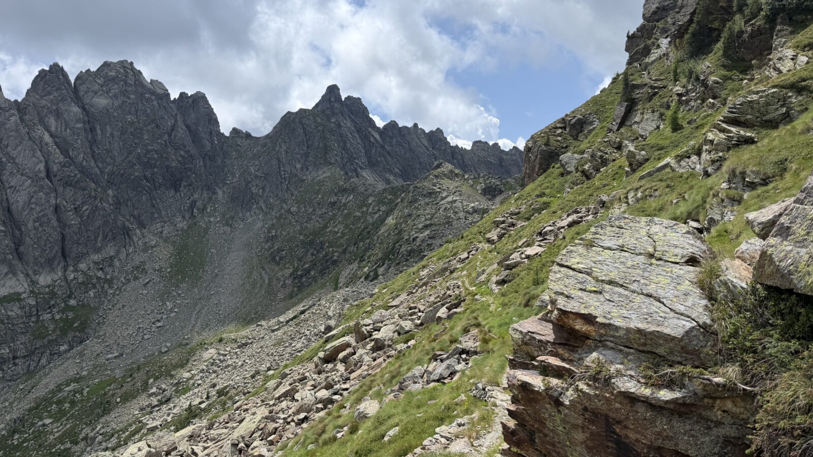 Il sentiero che porta a forcella Orsera anello forcella segura 20260719 - 28_al centro forcella segura